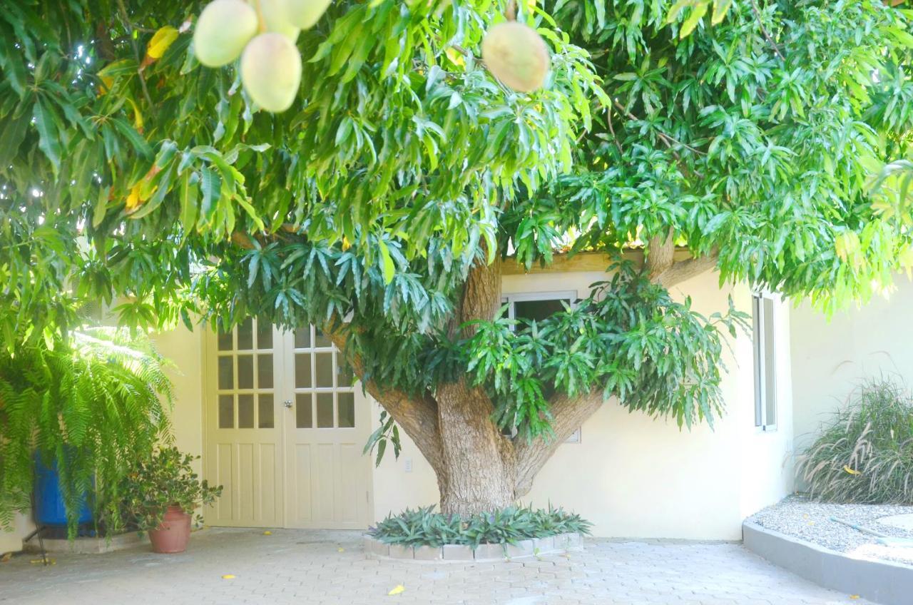 Homey Vacation And Carrental Willemstad Zewnętrze zdjęcie